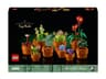 Miniplantjes - 10329