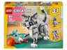31163 Speelse kat
