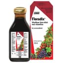 Floradix IJzerelixer 500 ml