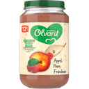 Olvarit 12+ Maanden Appel Peer Framboos 200g