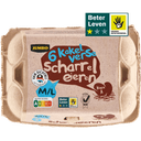Jumbo Scharreleieren M/L 6 Stuks